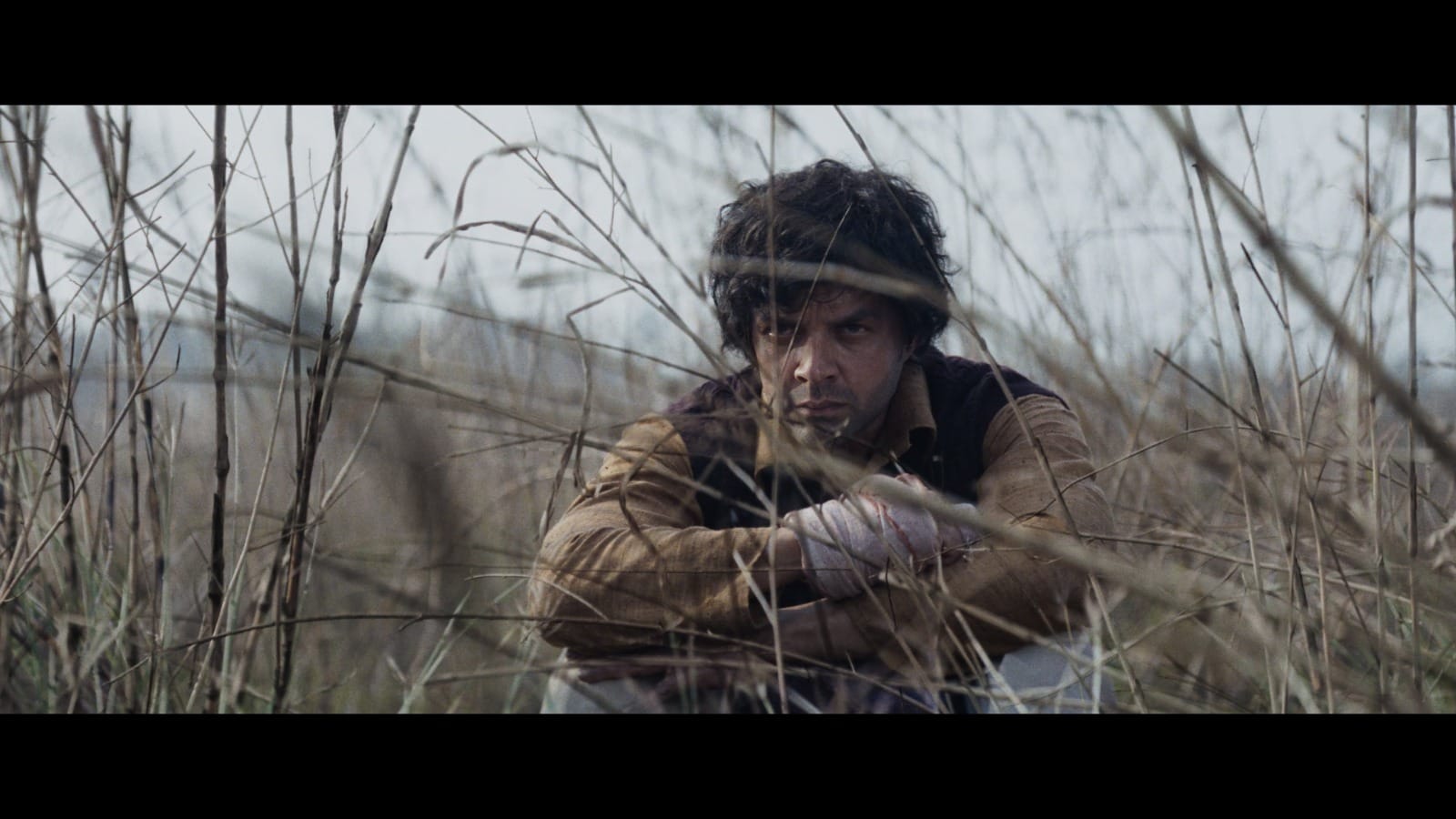 Alpha Movie