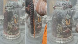 बेल पत्र, भांग-चन्दन, रजत मुकुट और रुद्राक्ष की माला से बाबा महाकाल का हुआ शृंगार, देखें भस्म आरती
