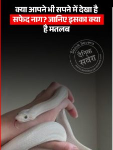 white serpent in your dream