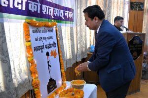 केवल सेना नहीं, हर नागरिक देश का सिपाही : डीसी