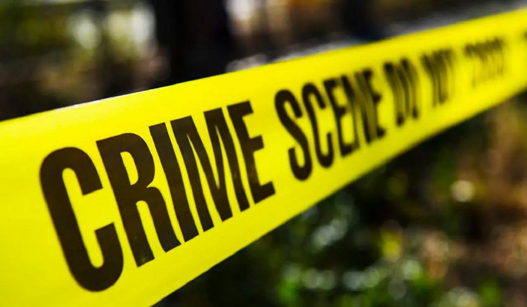 meerut father-son death case