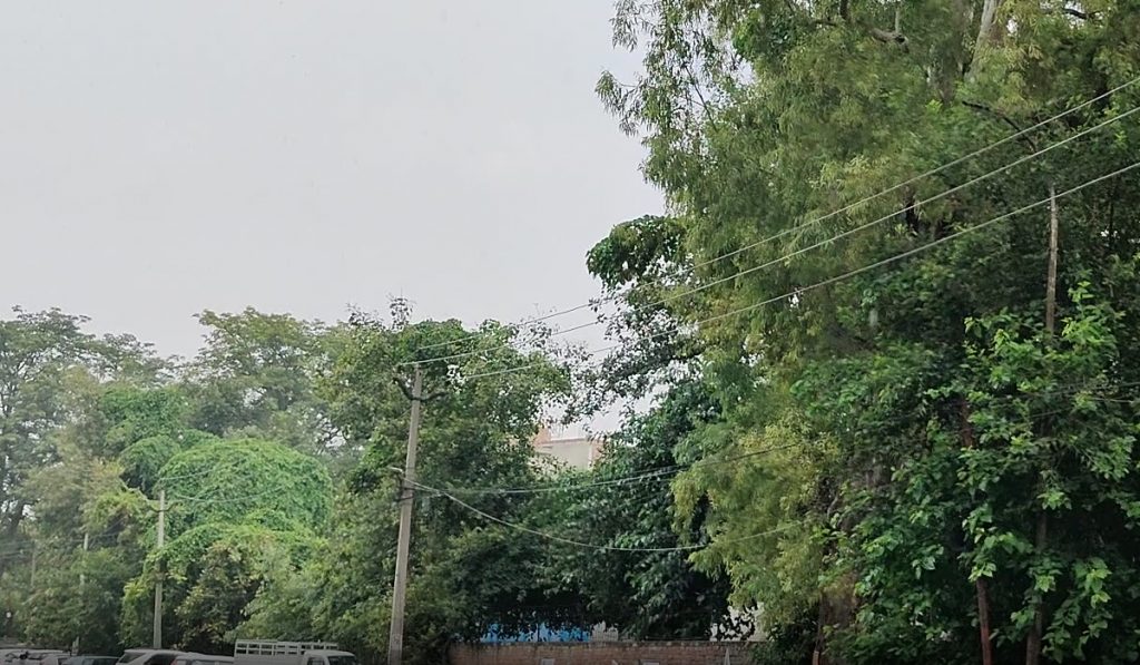 Ludhiana weather