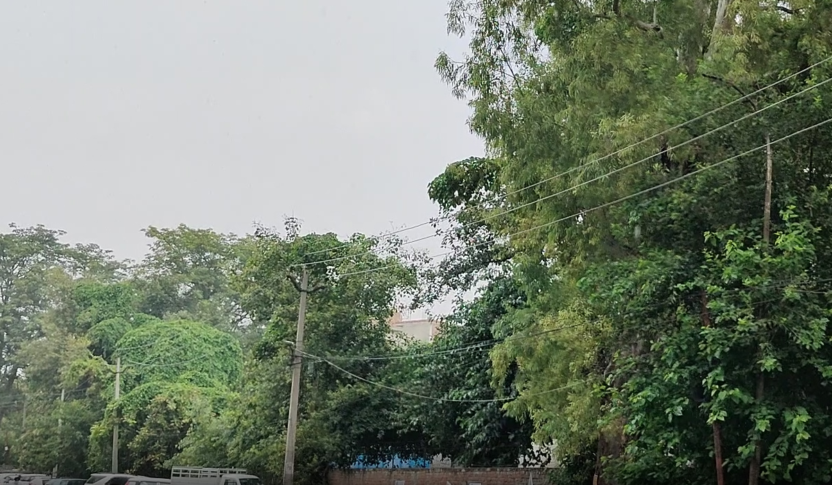 बारिश के बाद मौसम हुआ सुहावना, अगले कुछ दिनों तक सक्रिय रहेगा मानसून