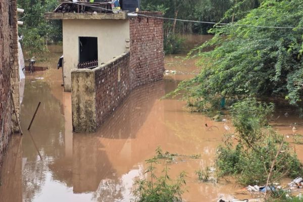उफान पर मारकंडा, कई गांवों में पानी, फसल पर भी संकट