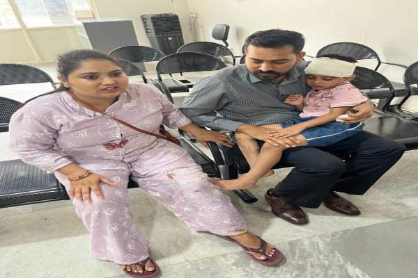 जालंधर में आवारा कुत्तों का आतंक, मां-बेटे पर किया हमला, बच्चा गंभीर घायल