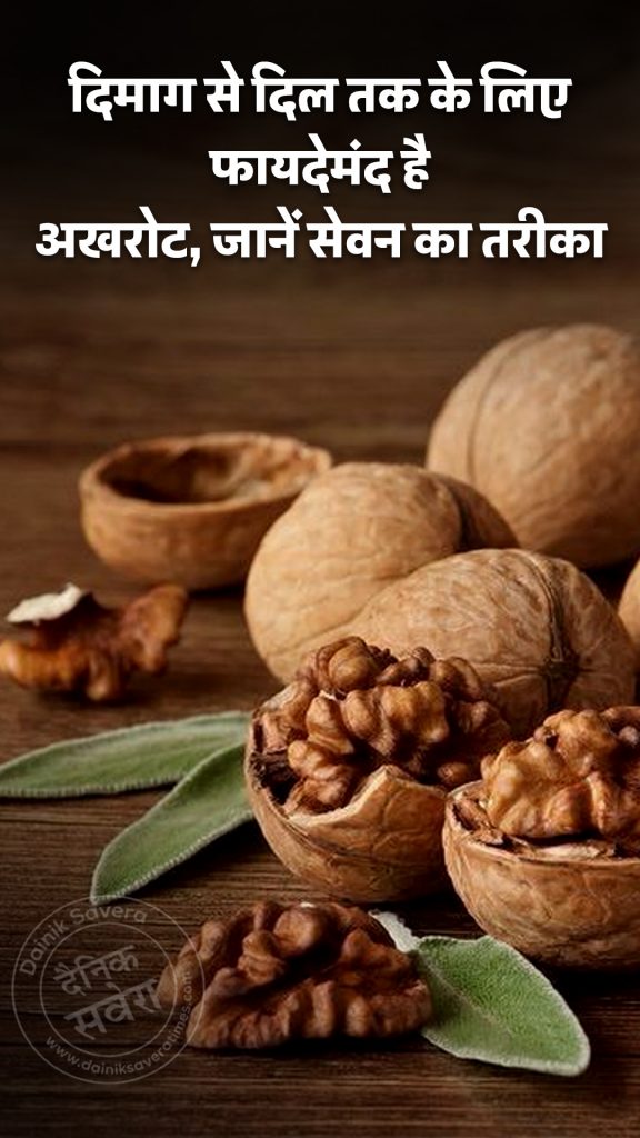 Walnuts are beneficial for brain and heart