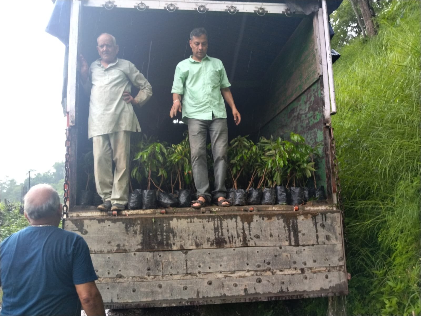 खड़ीहार क्लस्टर में पहुंची लीची पौधों की पहली खेप, 74 बागवानों को मिलेगा लाभ