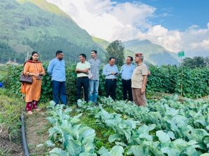 जायका कृषि अधिकारियों ने कुल्लू में चल रही परियोजना गतिविधियों का किया निरीक्षण