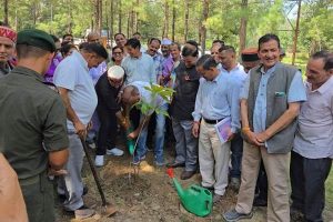 मोहल में कांग्रेस कमेटी ने किया पौधारोपण, कहा- 31 अगस्त तक कुल्लू में रोपी जाएगी हरियाली
