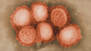 Influenza A: स्वास्थ्य मंत्रालय ने दी राहत की जानकारी, ज्यादातर मामलों में संक्रमण अपने आप ठीक हो जाता है