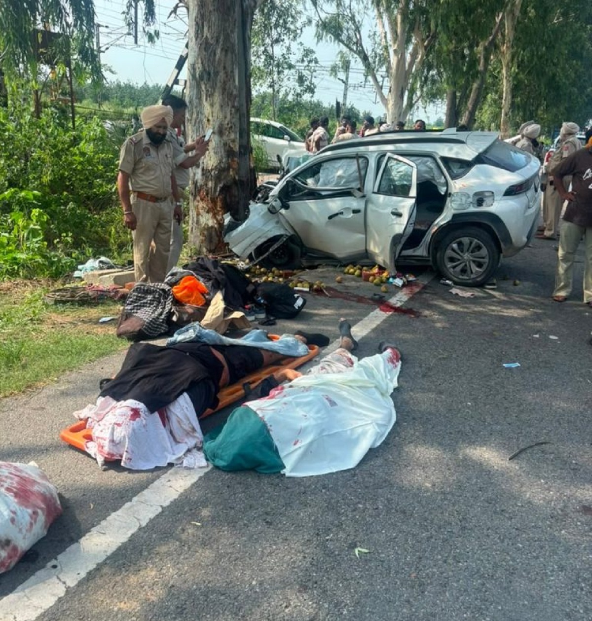 जालंधर-पठानकोट हाईवे पर दर्दनाक हादसा, पेड़ से टकराई कार; रेहड़ी चालक समेत 3 की मौत
