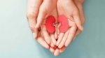 Kidney Health Tips