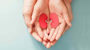 Kidney Health Tips: दिल की तरह किडनी का भी रखें ध्यान, इन 5 आदतों से रहें फिट
