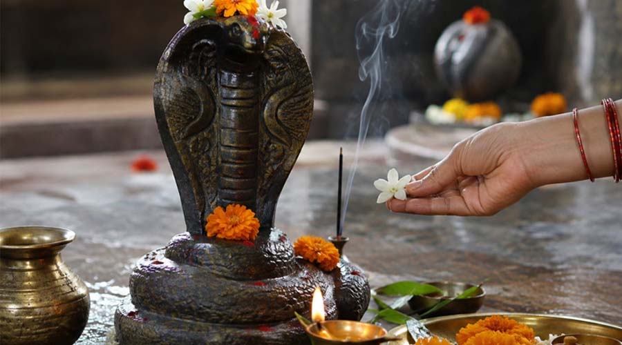 नाग पंचमी पर भूलकर भी न करें ये 5 काम, वरना बढ़ सकती हैं जीवन की परेशानियां