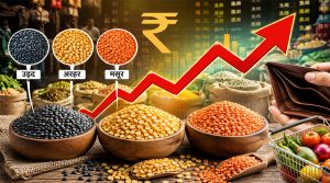 Pulses Price Hike: उड़द,अरहर और मसूर तक दलों के बढ़े दाम, जानें आपकी जेब पर कितना पड़ेगा असर?