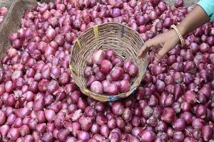 प्याज की बढ़ती कीमतों पर केंद्र का बड़ा फैसला, 35 रुपये किलो मिलेगा प्याज