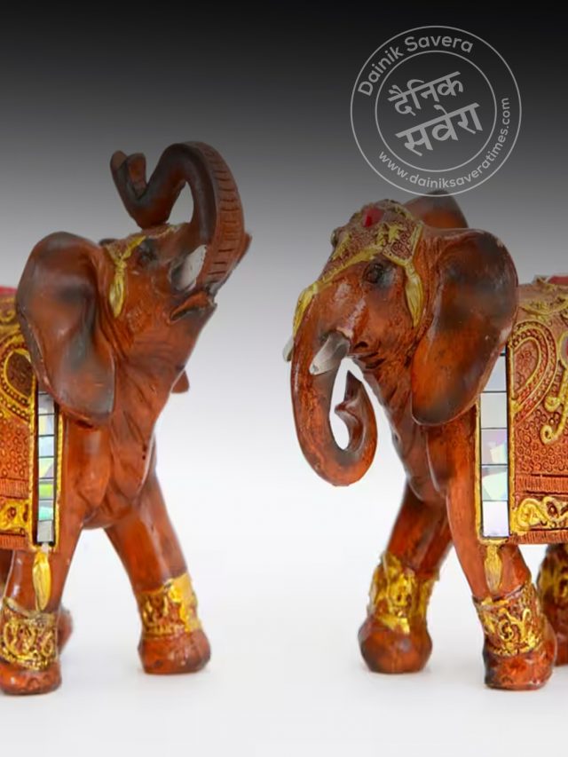 क्या घर में हाथी का जोड़ा बदल सकता है किस्मत? वास्तु शास्त्र में जानें इसकी मान्यता