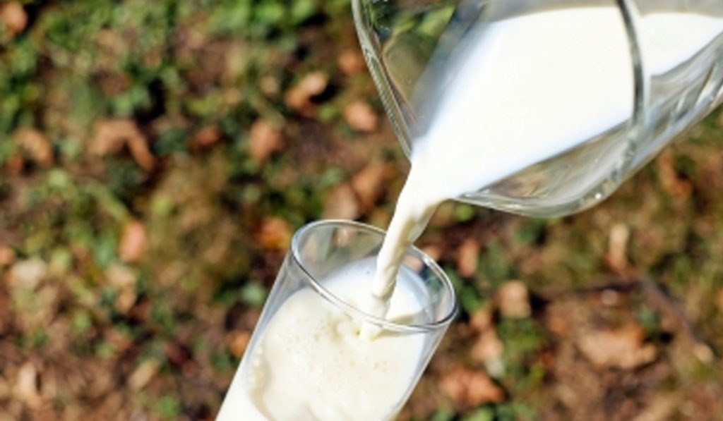 Milk prices rise