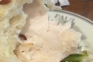 गुरुग्राम के रेस्टोरेंट में सैंडविच से निकला जिंदा कीड़ा, वीडियो वायरल