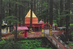 Dharam News : घने देवदार के बीच विराजे हैं तारकेश्वर महादेव, 84 गांव चढ़ाते हैं पहली फसल
