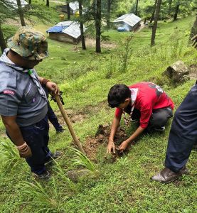 स्वतंत्रता दिवस पर नग्गर के स्काउट्स एवं गाइड्स ने किया पौधारोपण, ऐतिहासिक मंदिर में भजन-कीर्तन