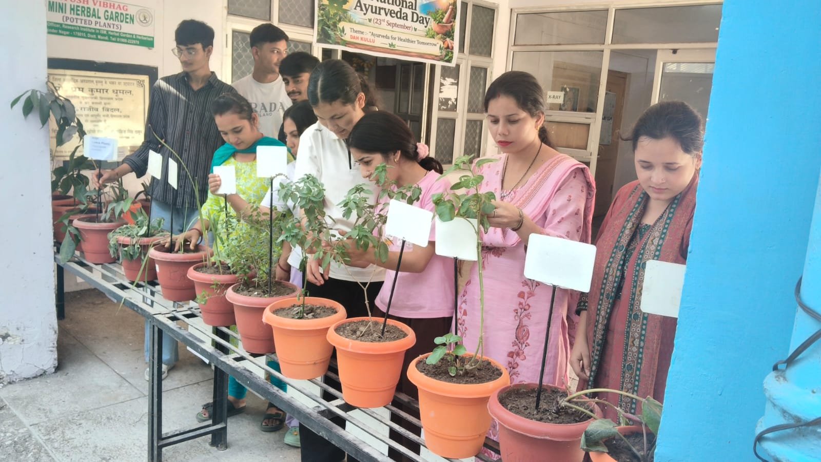 कुल्लू में मनाया गया 11वां राष्ट्रीय आयुर्वेद दिवस, करीब 5100 लोग हुए लाभान्वित