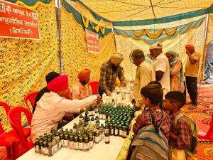 नौशेरा ढाला में आयोजित मुफ्त आयुष शिविर में 701 मरीजों की जांच