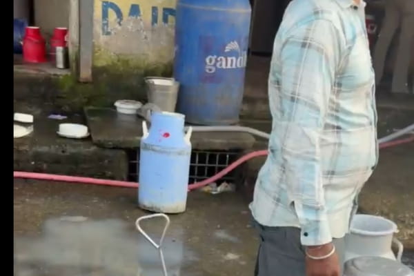 जालंधर में दूध मिलावट के आरोप, लगातार दूसरे दिन स्टिंग वीडियो सामने आया
