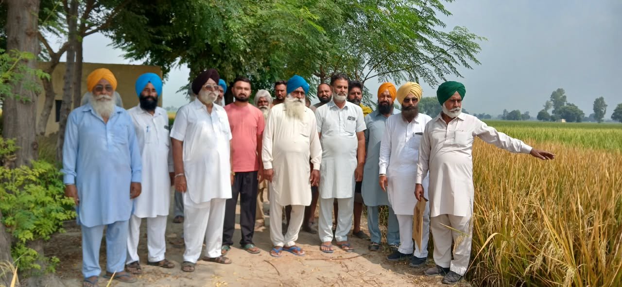 खेत में खड़ी मोटर का सामान काटकर बोर में फेंका, फसल पर स्प्रे कर नुकसान पहुंचाने का आरोप