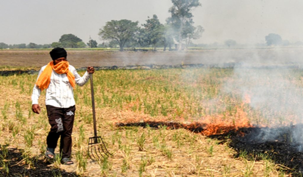 Stubble Burn