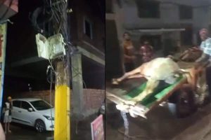 जालंधरः बस्ती शेख में जलभराव के बीच बिजली खंभे में उतरा करंट, घोड़े की मौत