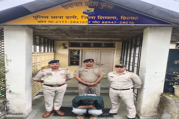 शिमलाः ढली में 20 ग्राम हेरोइन बरामद, आरोपी गिरफ्तार
