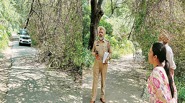 जर्जर सड़क पर पेड़ की झुकी टहनी से टकराकर व्यक्ति की मौत