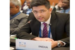 भारत ने दिखाया डिजिटल विकास के साथ समावेशिता भी संभव: राघव चड्ढा