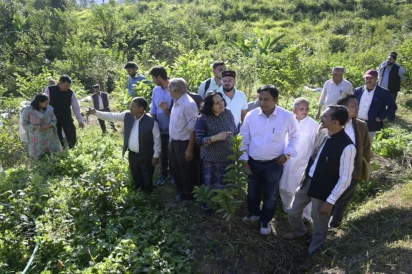 बागवानी मंत्री जगत सिंह नेगी ने बड़ागांव क्लस्टर का किया निरीक्षण