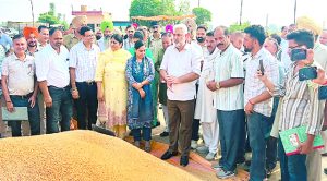 कैबिनेट मंत्री कटारूचक्क ने सरना और कानवां की अनाज मंडियों में की समीक्षा
