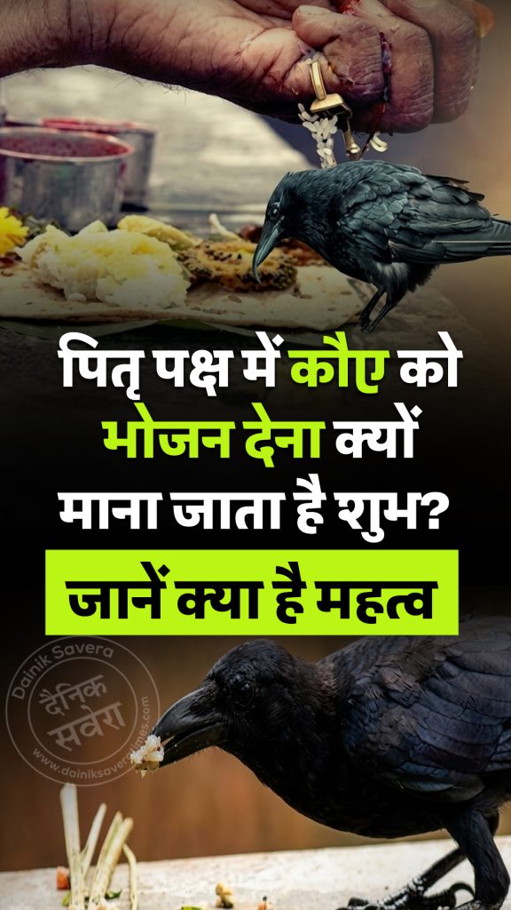 give food to crow during Pitru Paksha