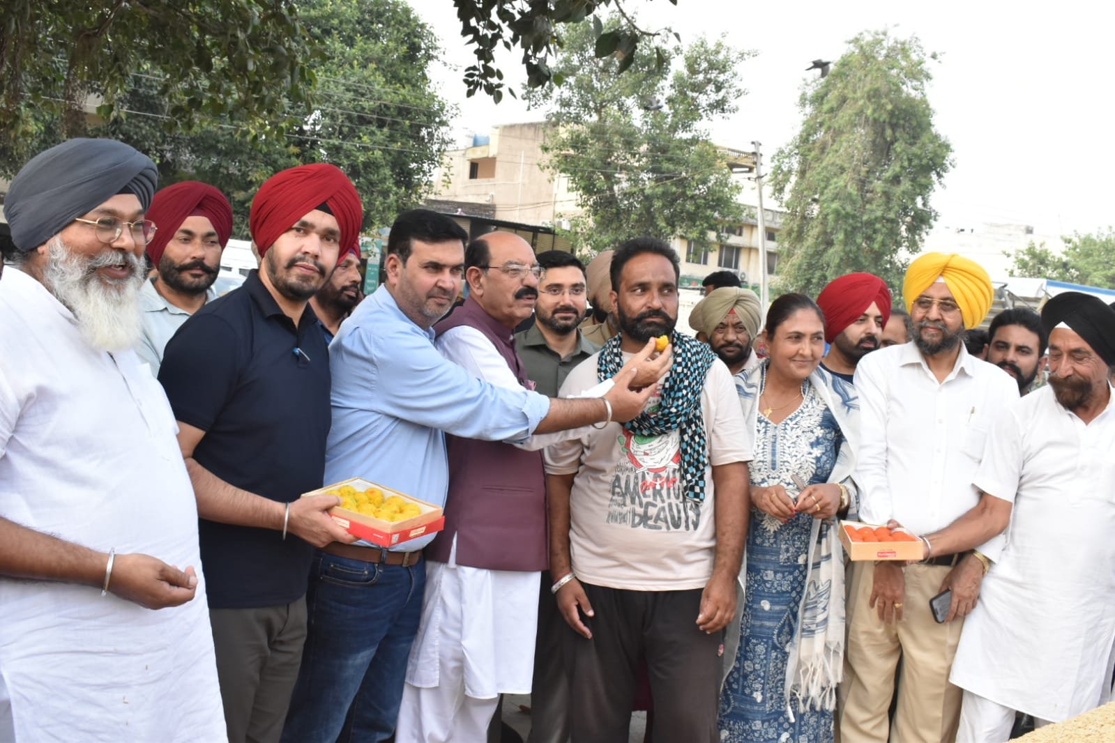 जालंधर की नई अनाज मंडी में धान खरीद शुरू, 10.84 लाख मीट्रिक टन फसल आने का अनुमान