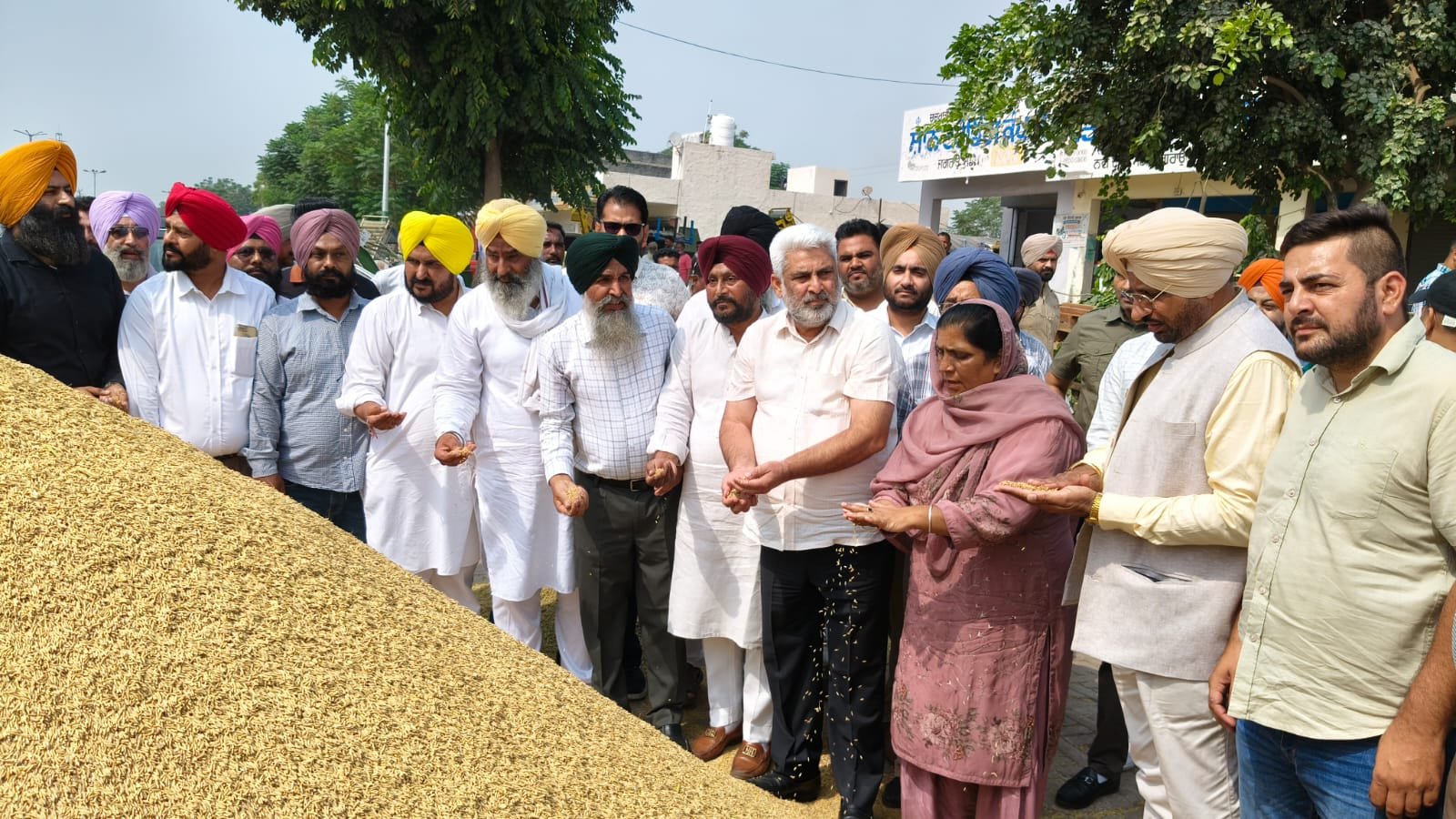 पंजाब की मंडियों में 8.50 लाख मीट्रिक टन धान की आवक, 7.50 लाख मीट्रिक टन की खरीद: कटारूचक