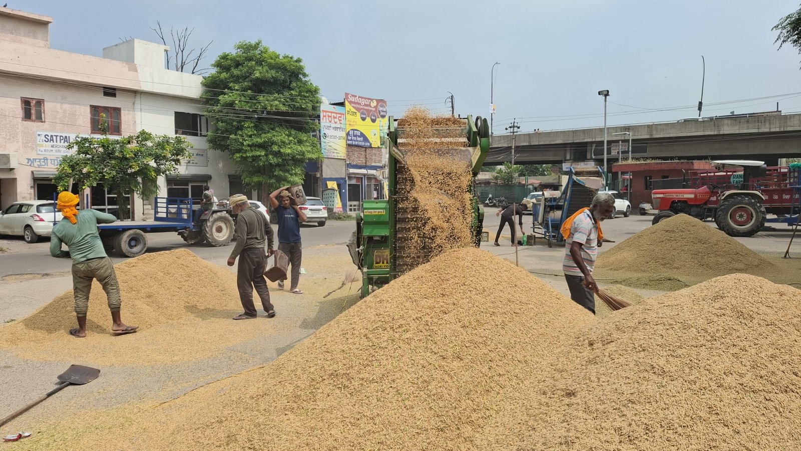 किसानों को धान तभी काटना चाहिए जब वह पूरी तरह पक जाए: डिप्टी कमिश्नर