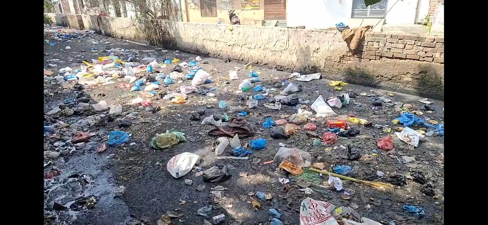 बुड्ढा नाले की गंदगी से बेहाल धर्मपुरा के लोग