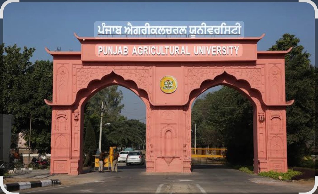 PAU कर्मचारियों ने किया विरोध प्रदर्शन
