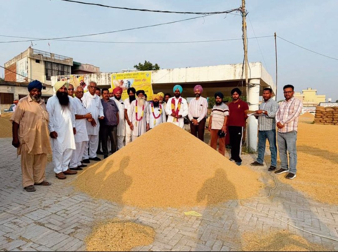 पंजाब सरकार ने धान की खरीद के लिए किए व्यापक इंतजाम