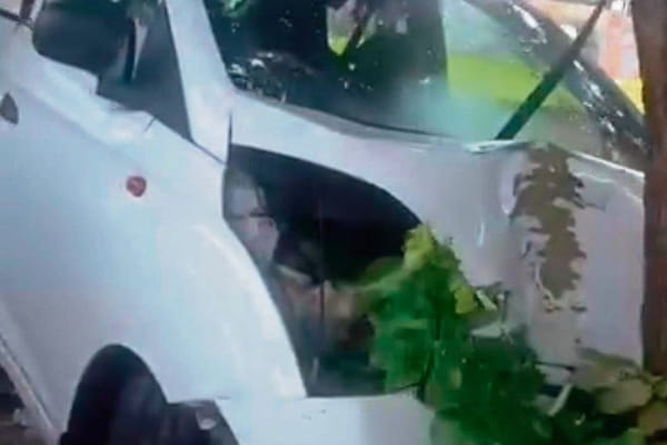 जगराओं में बेकाबू कार पेड़ से टकराई, तीन महिलाएं गंभीर घायल