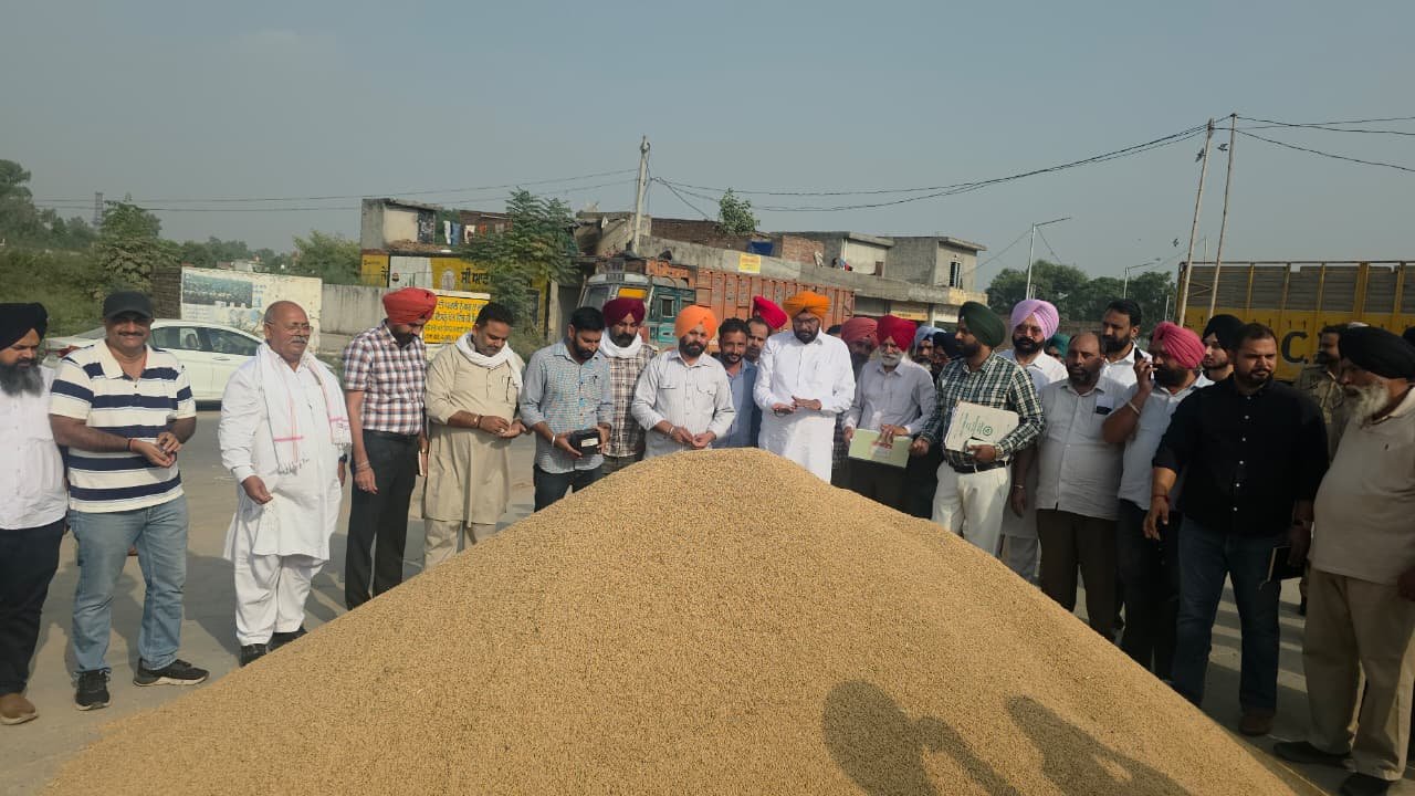 MLA कुलदीप सिंह धालीवाल ने अजनाला अनाज मंडी में धान की सरकारी खरीद की शुरू