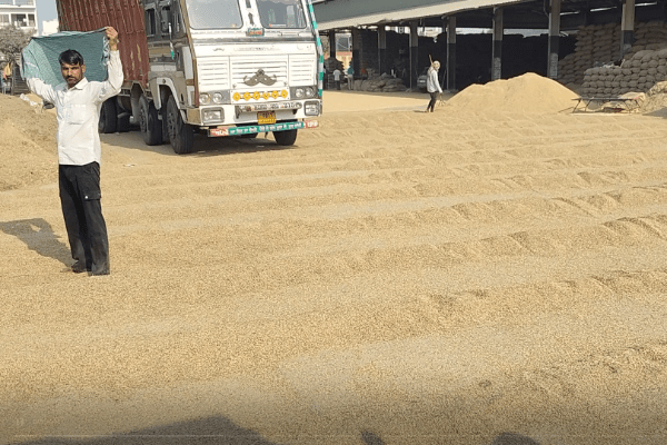बारिश के अलर्ट के बीच धान की सुरक्षा के इंतजाम