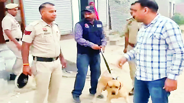 कैथल में सुबह-सुबह पुलिस की दबिश; स्निफर डॉग के साथ 100 जवानों ने खंगाले संदिग्धों के घर