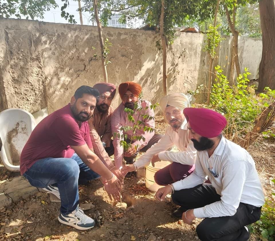 स्वच्छता पखवाड़े में मोगा रक्षा सेवा कल्याण कार्यालय ने लगाए पौधे