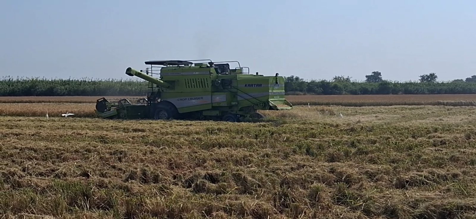 पराली प्रबंधन के लिए किसानों को ₹3,000 प्रति एकड़ मुआवजा दे सरकार : भूपिंदर
