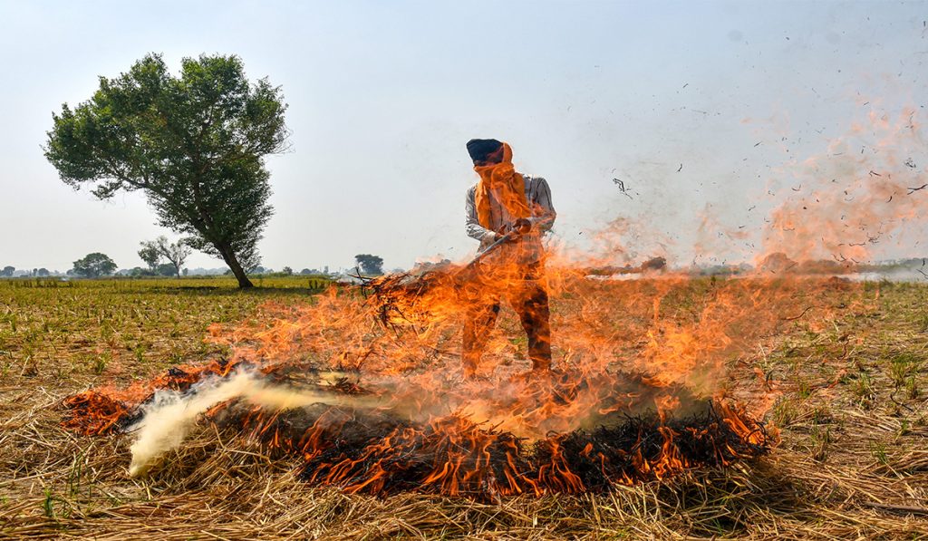 Stubble burning case
